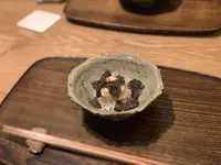 虎白の写真・動画_image_489090