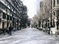 ピエール・エルメの写真・動画_image_489133