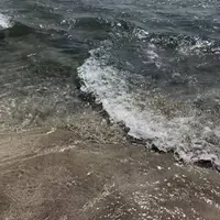 吉佐美大浜海水浴場の写真・動画_image_489414