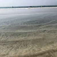 吉佐美大浜海水浴場の写真・動画_image_489418
