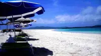 ハテの浜の写真・動画_image_489707