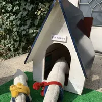 葉祥明美術館の写真・動画_image_490100