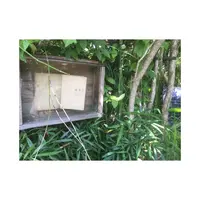 喫茶ミンカの写真・動画_image_490361