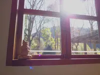 モモカフェの写真・動画_image_490415