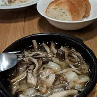 Craft Beer & Wine THE DODO HOUSE（ザ・ドードーハウス）の写真・動画_image_490459