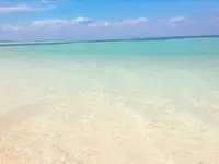 コンドイビーチの写真・動画_image_490736