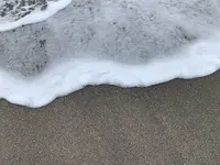 七里ヶ浜の写真・動画_image_491270