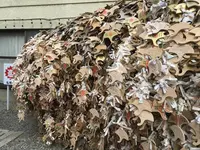 御金神社の写真・動画_image_491523