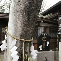 護王神社の写真・動画_image_491538