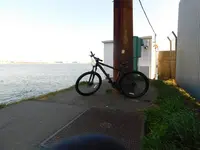 羽田の渡しの写真・動画_image_491683