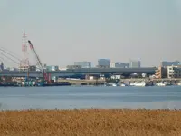 羽田の渡しの写真・動画_image_491687