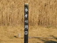 羽田の渡しの写真・動画_image_491695