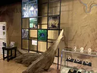 箱根町立 箱根ジオミュージアムの写真・動画_image_492286