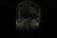 極楽橋駅の写真・動画_image_492814