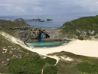 小笠原村の写真・動画_image_493569