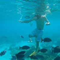 小笠原村の写真・動画_image_494992