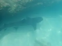 小笠原村の写真・動画_image_494994