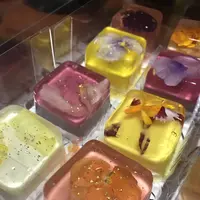 花のババロア havaro トウキョウミタス店の写真・動画_image_495174