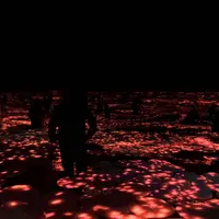 【閉業】森ビルデジタルアートミュージアム：エプソン チームラボボーダレス（MORI Building Digital Art Museum: EPSON teamLab Borderless）の写真・動画_image_495780