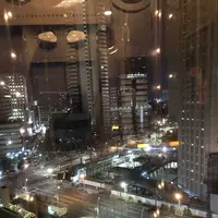 ハイアットリージェンシー東京の写真・動画_image_497380