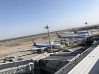 黒長兵衛 羽田空港店の写真・動画_image_497596