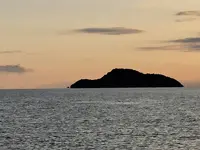 志島ヶ原梅林の写真・動画_image_499161