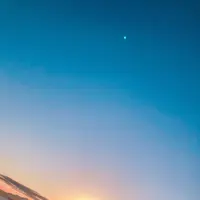志島ヶ原梅林の写真・動画_image_499163