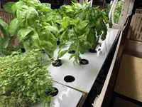 Brook's grean cafeの写真・動画_image_499486