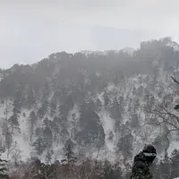 川場スキー場の写真・動画_image_501913