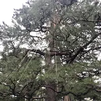 長町武家屋敷跡の写真・動画_image_502456