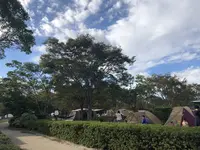 グリーンパーク山東の写真・動画_image_502713