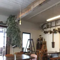 ノカフェ (nocafe)の写真・動画_image_503489