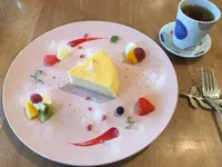 茶のこの写真・動画_image_504711