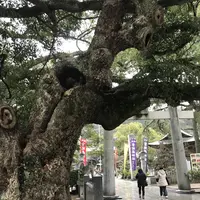 宮地嶽神社の写真・動画_image_505889