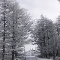 美ヶ原高原王ヶ頭ホテルの写真・動画_image_509303