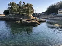 絵島の写真・動画_image_511247