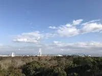 万博記念公園の写真・動画_image_512724