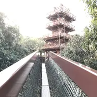 万博記念公園の写真・動画_image_512725