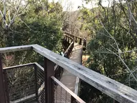 万博記念公園の写真・動画_image_512726