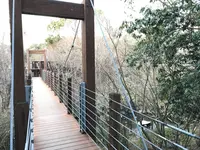 万博記念公園の写真・動画_image_512727