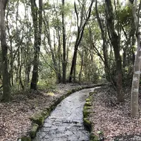 万博記念公園の写真・動画_image_512728