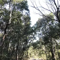 万博記念公園の写真・動画_image_512729