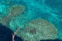 三角点の写真・動画_image_513395