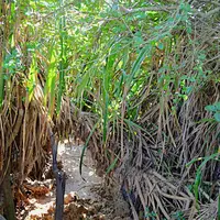 三角点の写真・動画_image_513396