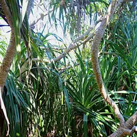 三角点の写真・動画_image_513397