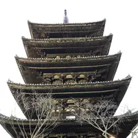 京都の写真・動画_image_513567