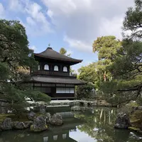 京都の写真・動画_image_513568