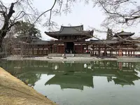 京都の写真・動画_image_513569