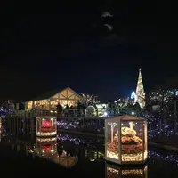 あしかがフラワーパークの写真・動画_image_514607