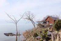 シャーレ水ケ浜の写真・動画_image_517496